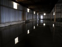 iStock 000011485710XSmall 1